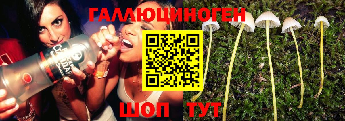 Галлюциногенные грибы прущие грибы Калининград